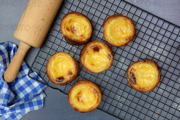 Pastel de Nata, Pasteis de Nata on a cake rack, custard tart, Portuguese speciality