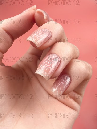 Gentle neat manicure on female hands on a background of dry flowers. Nail design