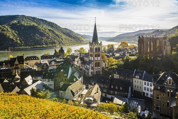 Vineyards and town, St. Peters Parish Church and the ruined Werner Chapel, Bacharach, Upper Middle Rhine Valley, UNESCO World Heritage Site, Rhine, Rhineland-Palatinate, Germany, Europe