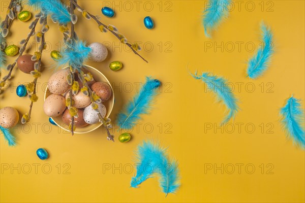 Palm catkin with Easter decoration, eggs, feathers, yellow background, copy room