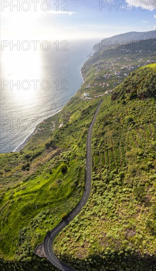 Country road from above, coast and villages, Madeira, Portugal, Europe