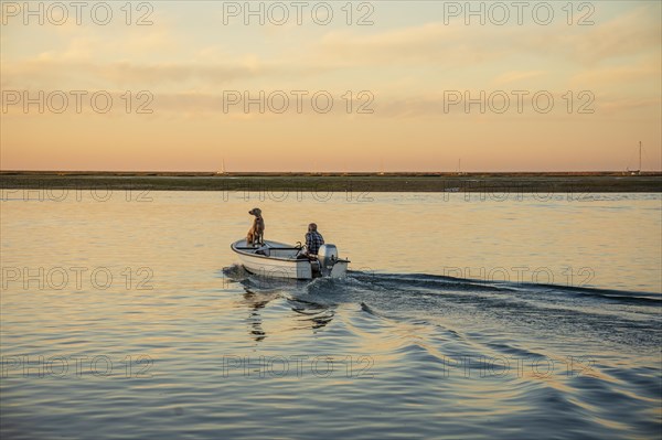 A man and a weimaraner dog on the boat at sunrise on Ria Formosa, Faro, Algarve, Potugal