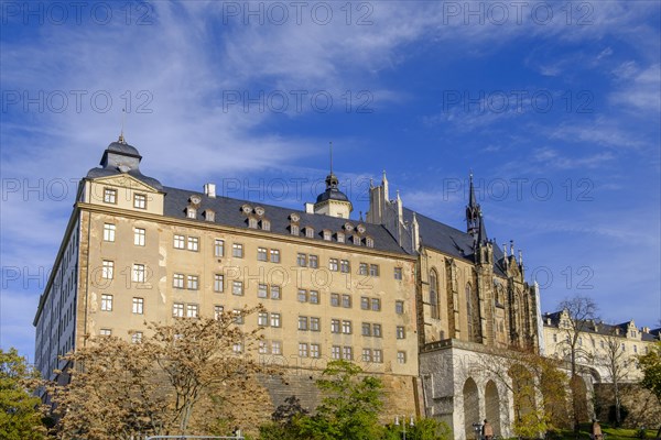 Altenburg Castle, Altenburg, Thuringia, Germany, Europe