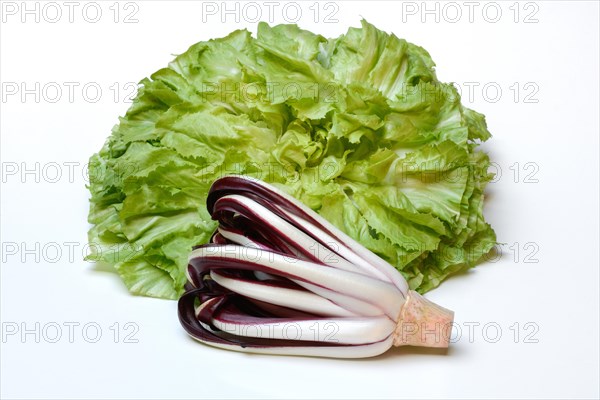 Radicchio in front of endive, Cicorino rosso Tardivo