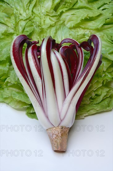 Radicchio in front of endive, Cicorino rosso Tardivo