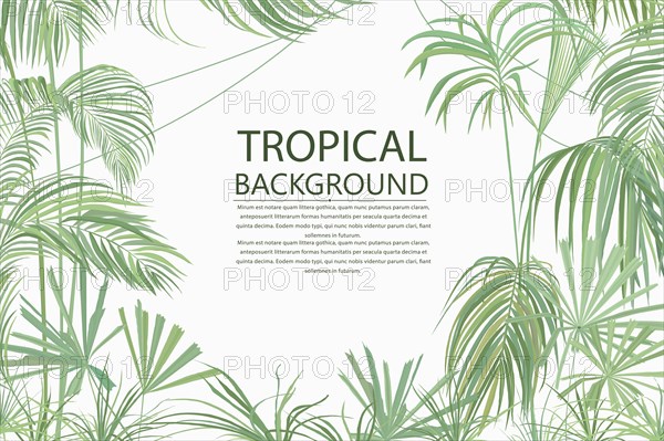 Retro style tropical background, vector text card