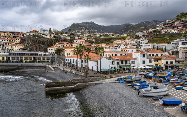 Fishing boats and houses, Camara de Lobos, Madeira, Portugal, Europe