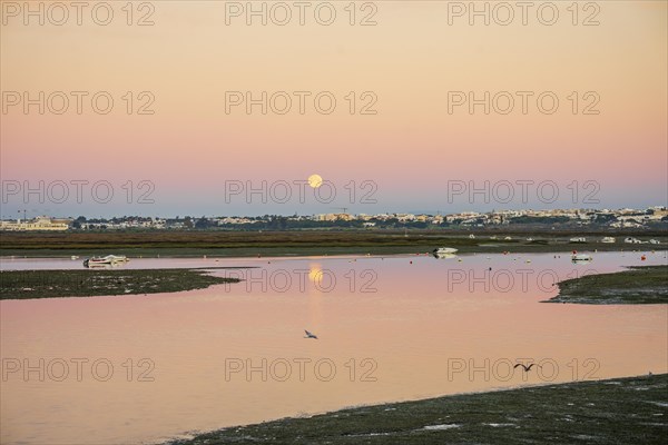 Early morning in Faro, waters of Ria Formosa with moon set and birds, Algarve, Portugal, Europe