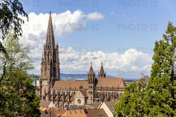 City view with cathedral, Freiburg im Breisgau, Baden-Wuerttemberg, Germany, Europe