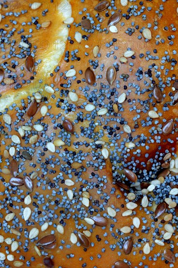 Detail of a roll with seeds, pretzel roll