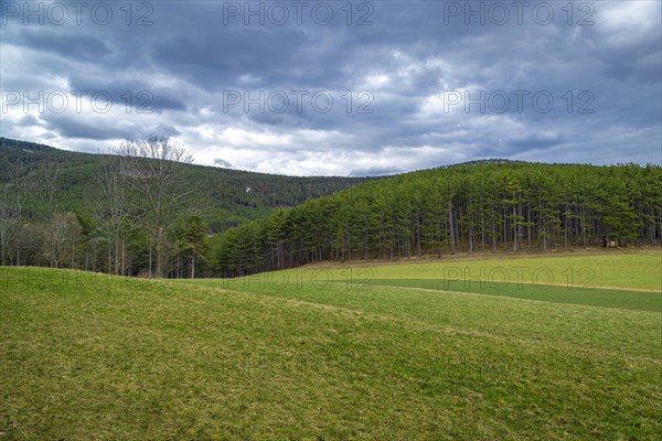 Landscape with green meadow and forest, hilly landscape, dramatic clouds, Ternitz, Lower Austria, Austria, Europe