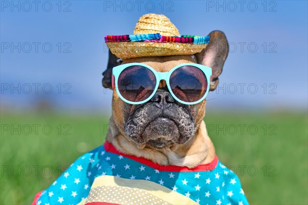 Cool French Bulldog dog dressed up with sunglasses, a colorful straw hat and poncho gown in front of blurry meadow in summer