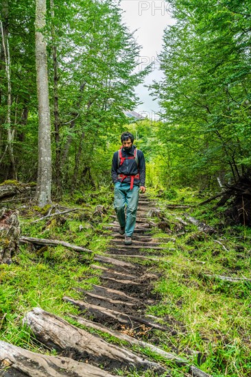 Man walking on a path made of old wooden planks to the lagoon at Cerro Castillo mountain, Cerro Castillo National Park, Aysen, Patagonia, Chile, South America