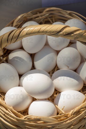 Organic fresh farm eggs in the straw basket