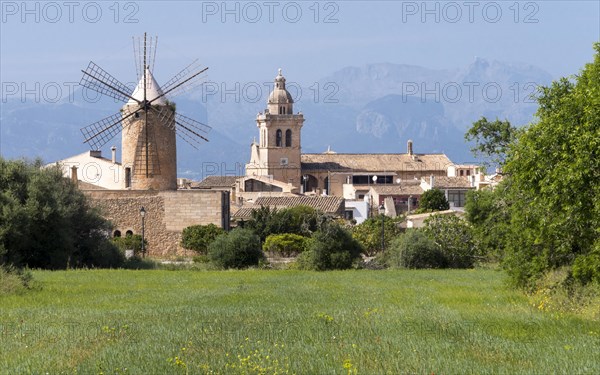 View of Algaida with windmill and church, Majorca, Balearic Islands, Spain, Europe