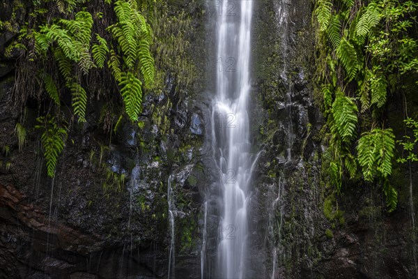 River and waterfall Cascata das 25 Fontes, long exposure, Rabacal, Paul da Serra, Madeira, Portugal, Europe