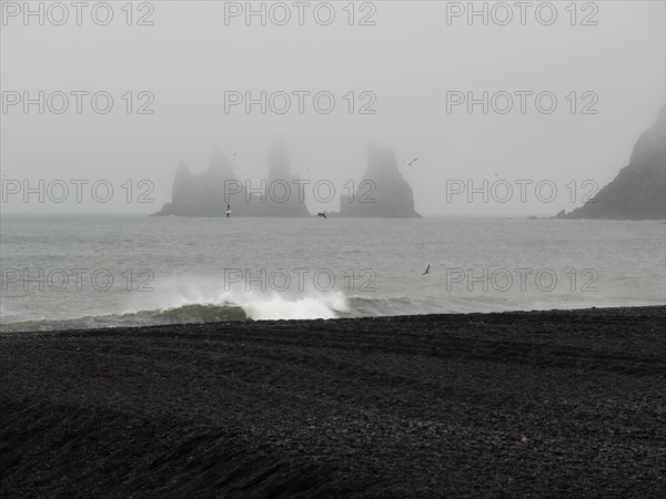 Rainy atmosphere, cliff in the fog, rock Reynisdrangar in the water, at Reynisfjara beach, black lava beach, Vik, South Iceland, Iceland, Europe