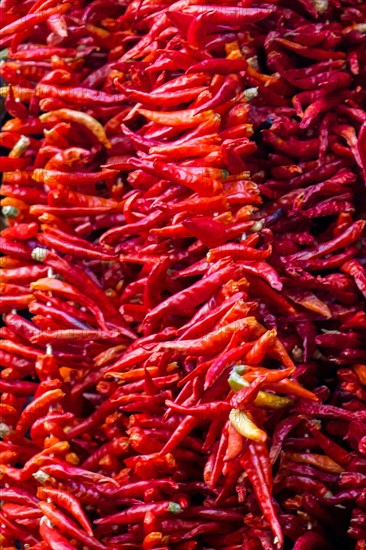 Dried peppers and aubergines and colourful spices in the Spice Market