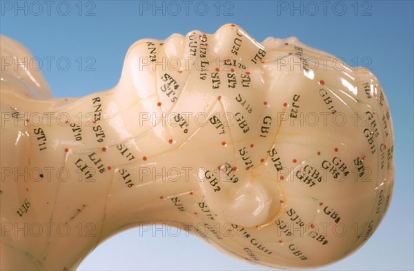 Acupuncture, acupuncture points of the human body, shown on a practice dummy for alternative practitioners