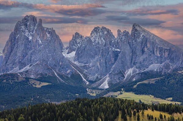 Snow-covered peaks of the Sassolungo group in the evening light, view from the Alpe di Siusi, Val Gardena, Dolomites, South Tyrol, Italy, Europe