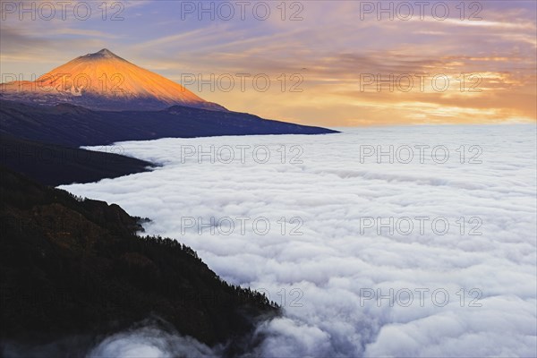 Pico del Teide at sunrise over trade wind clouds, Teide National Park, Tenerife, Canary Islands, Spain, Europe