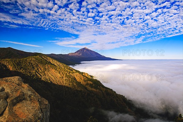 Pico del Teide at sunrise over trade wind clouds, Teide National Park, Tenerife, Canary Islands, Spain, Europe