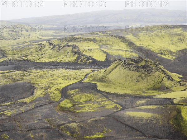 Moss-covered volcanic landscape, Laki Crater or Lakagigar, Highlands, South Iceland, Suourland, Iceland, Europe