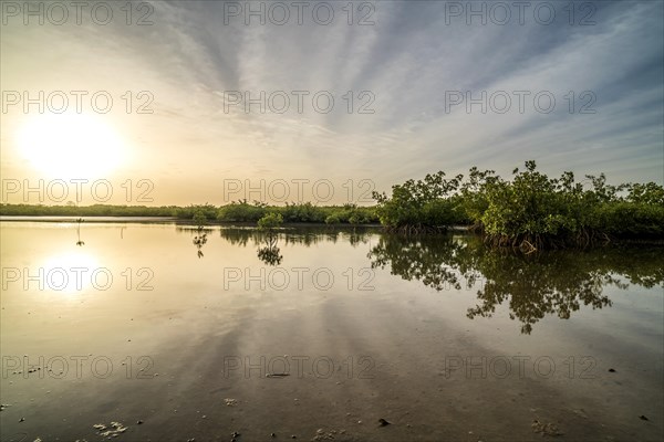 Sunrise by the mangroves, Kathior Island, Missirah, Sine Saloum Delta, Senegal, West Africa, Africa