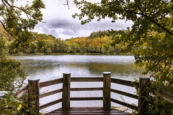 Holzmaar in the Volcanic Eifel, almost completely surrounded by forest, Maare, Maar, lake, nature reserve, Gillenfeld, Rhineland-Palatinate, Germany, Europe