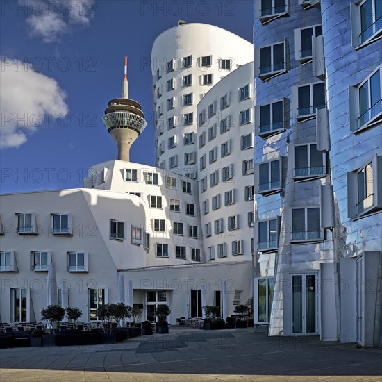 The Neue Zollhof with two Gehry buildings and the Rhine Tower, Duesseldorf, North Rhine-Westphalia, Germany, Europe