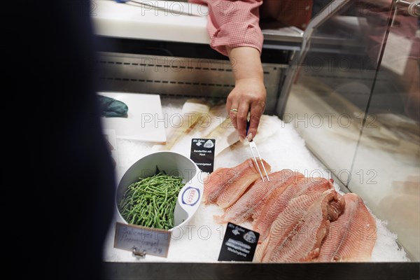 Salicorn algae and Claresse, catfish hybrid from a fish farm and pike-perch fillet, are offered in the supermarket., Radevormwald, Germany, Europe