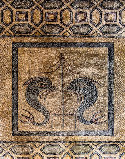 Mosaic floor with two dolphins from Kos, Grand Masters Palace built in the 14th century by the Johnnite Order, fortress and palace for the Grand Master, UNESCO World Heritage Site, Old Town, Rhodes Town, Greece, Europe