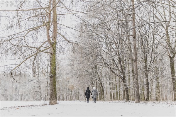 Two woman walk through the Tiergarten after snowfall at night in Berlin, Feb 06, 2023., Berlin, Germany, Europe