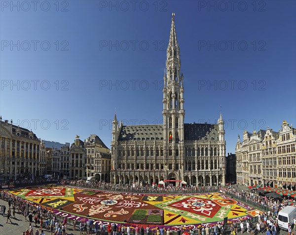 Flower carpet and tourists on the Grote Markt