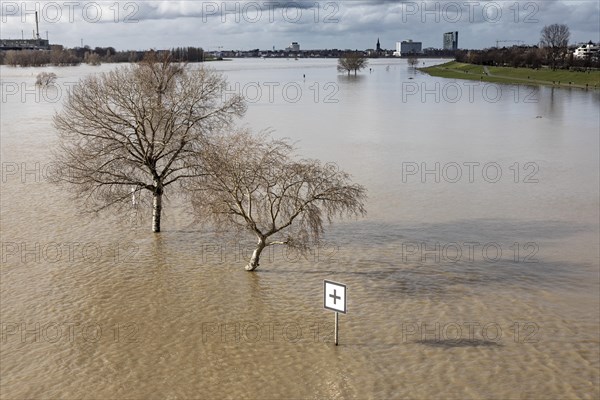 Flooding on the Rhine in Duesseldorf, view towards Oberkassel and Heerdt, flooding, floodplains, Rhine meadows, alluvial deposits, dike, Duesseldorf, North Rhine-Westphalia, Germany, Europe