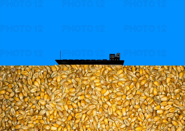 Symbolic photo, in colours of the Ukrainian national flag, a silhouette of a wheat