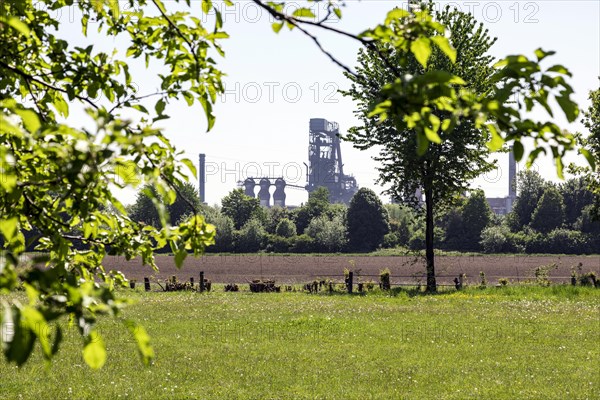 Blast furnace of Huettenwerke Krupp Mannesmann, HKM, behind the orchard meadows along the Rhine, Rheinaue Friemersheim nature reserve, Duisburg, North Rhine-Westphalia, North Rhine-Westphalia, Germany, Europe