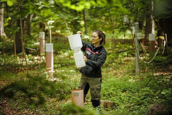 A staff member of the Northwest German Forest Research Institute checks a crown eaves collector on an experimental plot in a deciduous forest in Lower Saxony. Here, research is being conducted on how the forest can be prepared for the challenges in times of climate change. Mackenrode, Mackenrode, Germany, Europe