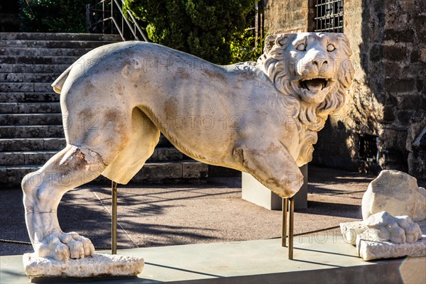 Lion sculpture on the upper floor, Archaeological Museum in the former Order Hospital of the Knights of St John, 15th century, Old Town, Rhodes Town, Greece, Europe