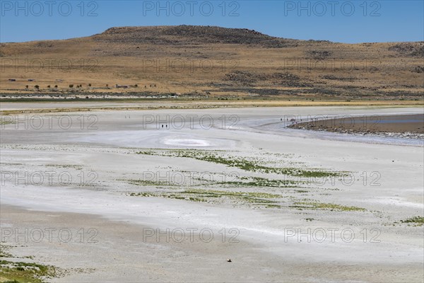 Salt Lake City, Utah, Falling water levels in Great Salt Lake requires those wanting to reach the water at Antelope Island State Park to hike a long distance. The lakes water level has fallen to a historic low