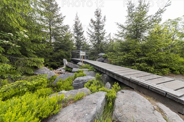 Lothar Trail in the Black Forest National Park on the Black Forest High Road, forest adventure and nature trail, Baiersbronn, Baden-Wuerttemberg, Germany, Europe