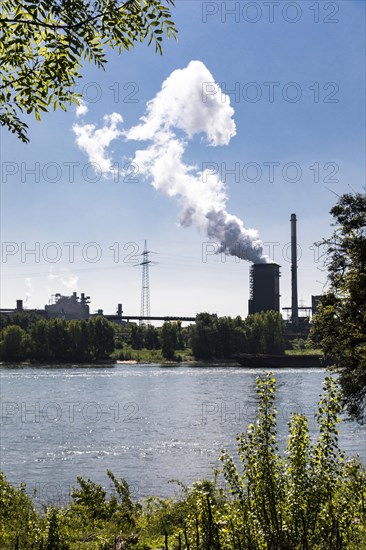 Huettenwerke Krupp Mannesmann, HKM, coking plant steam cloud, Rhine, Duisburg, North Rhine-Westphalia, North Rhine-Westphalia, Germany, Europe