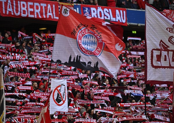South curve, scarves, fan block, fans, fan curve, flags, banners, atmosphere, atmospheric, FC Bayern Munich FCB, Allianz Arena, Munich, Bavaria, Germany, Europe