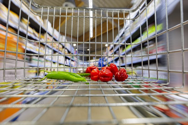 Shopping trolley with vegetables in a supermarket in Radevormwald, 08.06.2022. Radevormwald, Germany, Europe