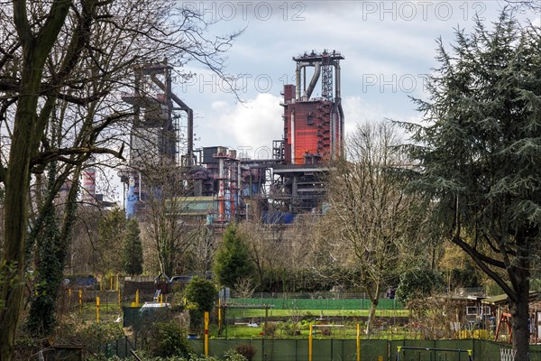 Allotment gardens in the residential area of Duisburg-Bruckhausen, behind industrial scenery with blast furnace of Thyssenkrupp Steel Europe AG, Duisburg, North Rhine-Westphalia, Germany, Europe