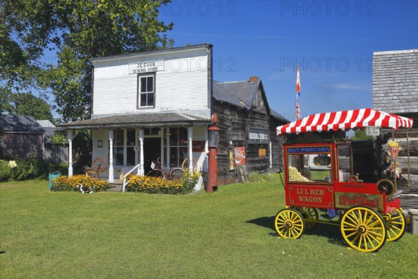 General Store, farmland antique event, Province of Quebec, Canada, North America