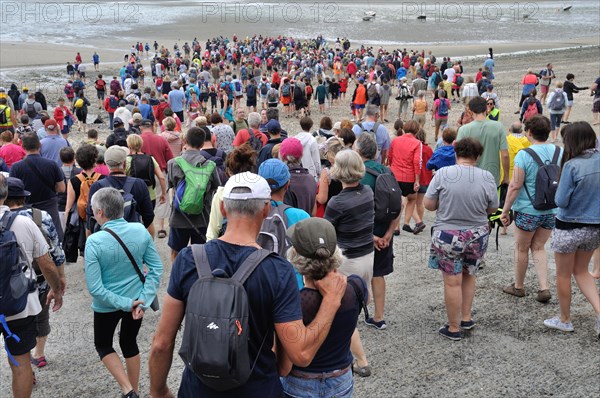 Hikers crossing the bay of Saint-Brieuc at low tide