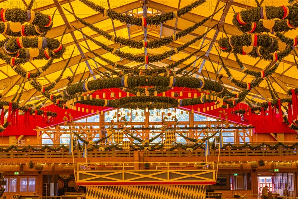 Wiesnaufbau, beer tavern in the Ochsenbraterei marquee, Oktoberfest, Theresienwiese, Munich, Upper Bavaria, Bavaria, Germany, Europe