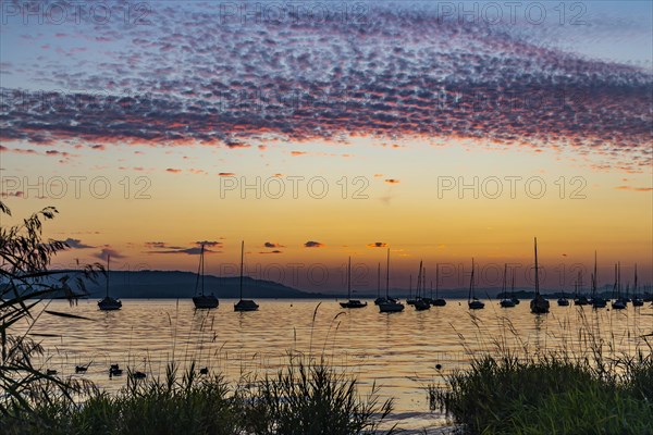 Sunset on Lake Constance, Allensbach, Baden-Wuerttemberg, Germany, Europe