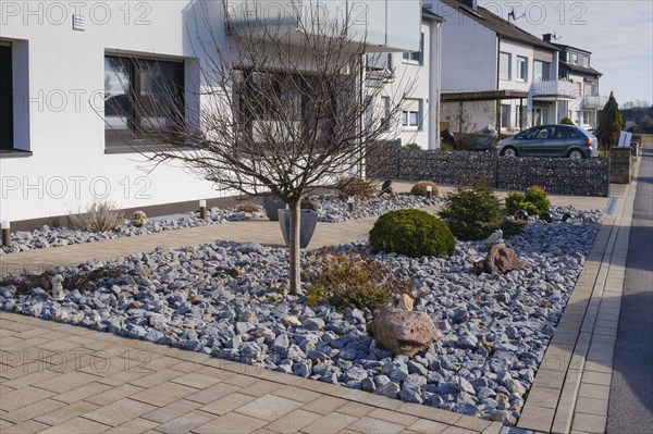 Modern front garden, gravel garden, Kamen, North Rhine-Westphalia, Germany, Europe